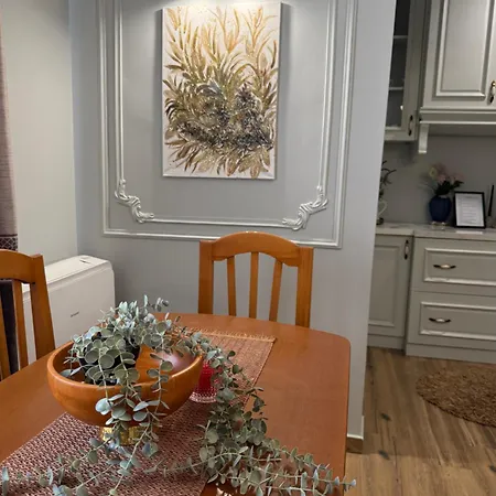 Gega Apartment's 1 דירה Kamez