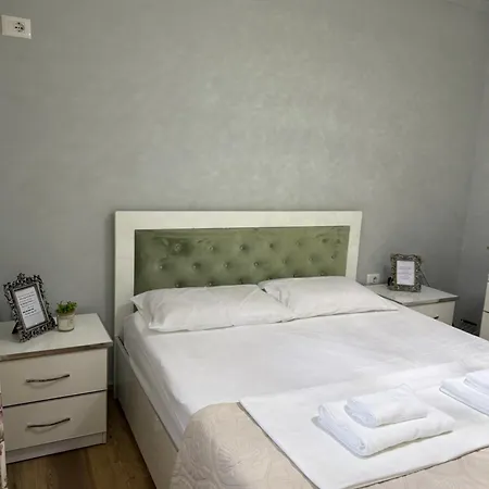 Gega Apartment's 1 דירה Kamez